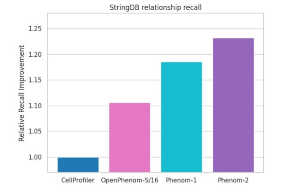 Recursion Unveils OpenPhenom-S/16: A Foundation Model for Microscopy Data