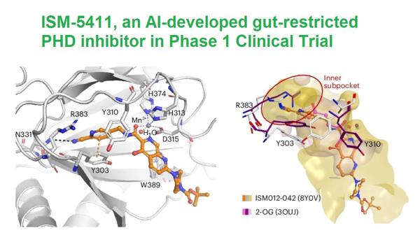 The AI-driven Development Journey of ISM5411, a Potential Breakthrough Treatment for Inflammatory Bowel Disease