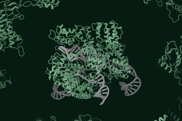 Profluent Unveils AI Model to Advance CRISPR-Cas Systems for Gene Editing