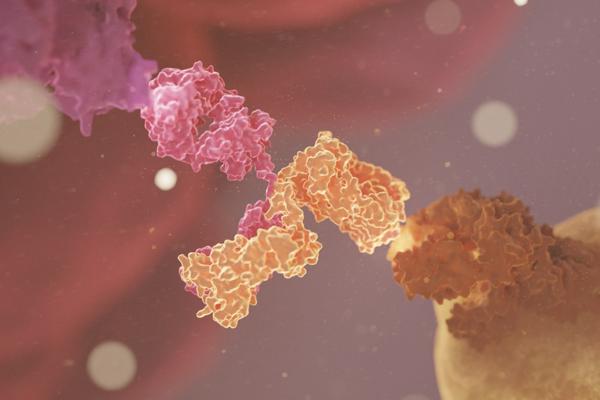 AbCellera Expands Collaboration with AbbVie to Develop Novel T-Cell Engagers for Oncology