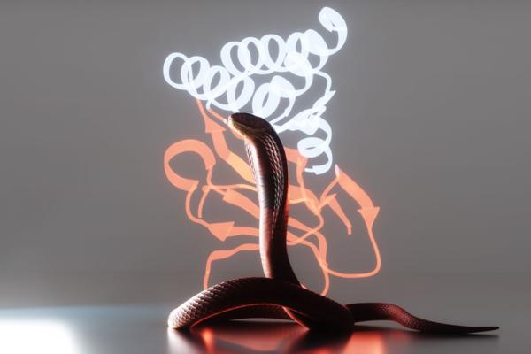 Baker Lab: Neutralizing Snake Venom with AI-Designed …