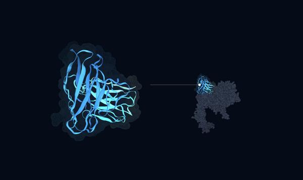 Cradle Achieves 8x Improved EGFR Binding Over Merck’s Cetuximab in Protein Design Challenge