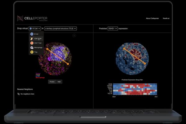 Noetik Announces Foundation Models of Spatial Biology for Precision Oncology