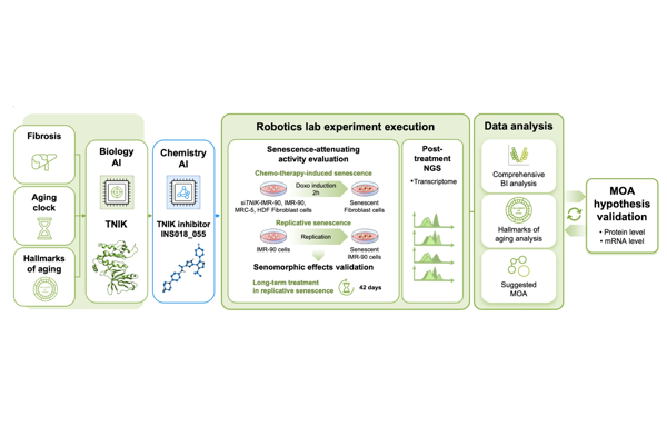 AI-Driven Robotics Lab Identifies TNIK Inhibition as a Novel Way to Curb Inflammatory Aging