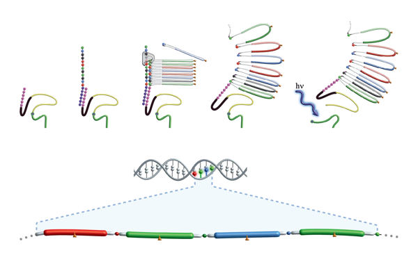 Roche Introduces New DNA Sequencing Technology