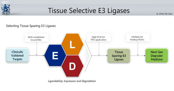 Identifying High Impact Tissue Sparing E3 …