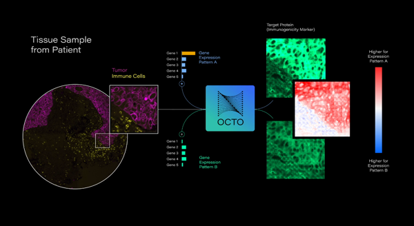 Noetik Secures $40 Million Series A …