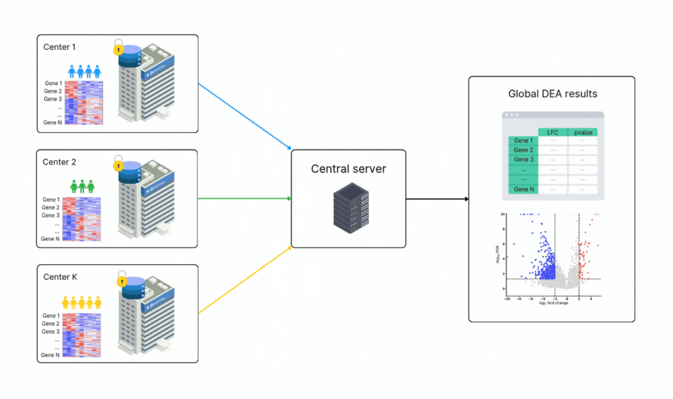 FedPyDESeq2 – a federated framework for bulk RNA-seq differential expression analysis