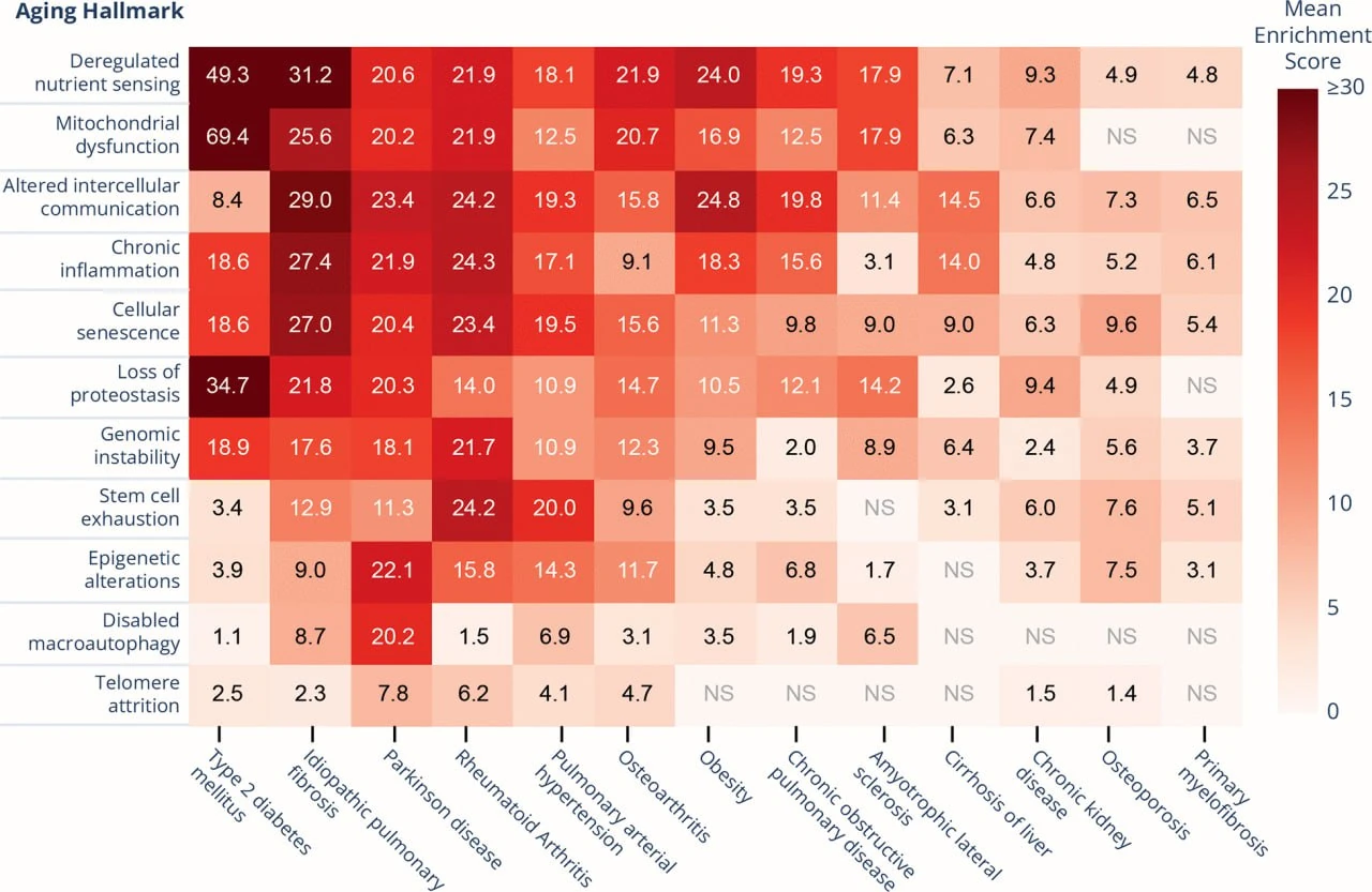 scoring system that ranks diseases based on how closely they align with the hallmarks of aging