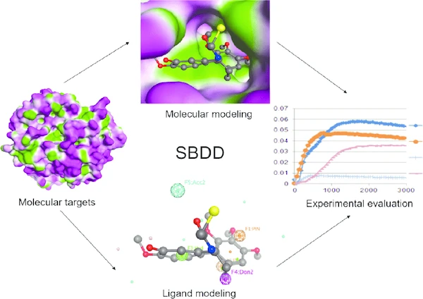 Structure-based Drug Discovery illustration